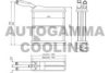 AUTOGAMMA 103810 Heat Exchanger, interior heating